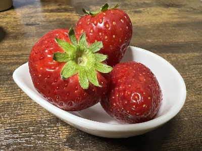 ӂ낢䕂ǍōɊÂII