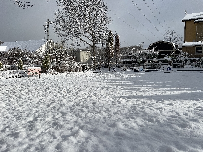 ���g�Őϐ�ɁE�E�E�E