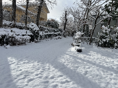 ���g�Őϐ�ɁE�E�E�E