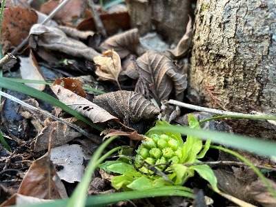 �G�߂̖K���������