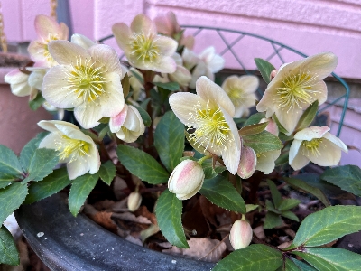 �G�߂̖K���������