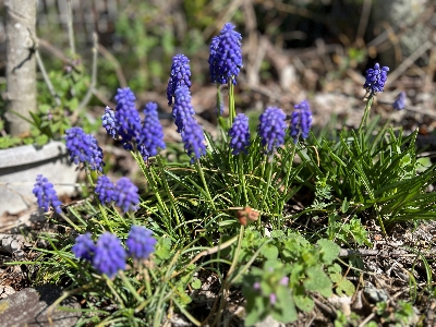 �G�߂̖K���������