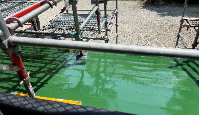 �����̏�h��h�����������܂����I